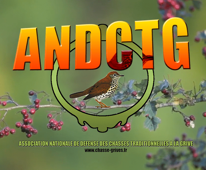 ANDCTG